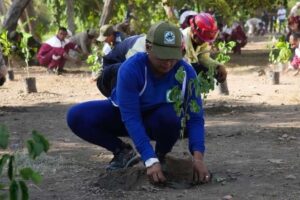 Ils ont planté 2 000 arbres sur les rives de la rivière Neverí à Anzoátegui
