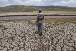 Une étude confirme que le réchauffement climatique a aggravé la chaleur et la sécheresse au Venezuela